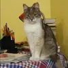 Отзыв от Зинаида Островская